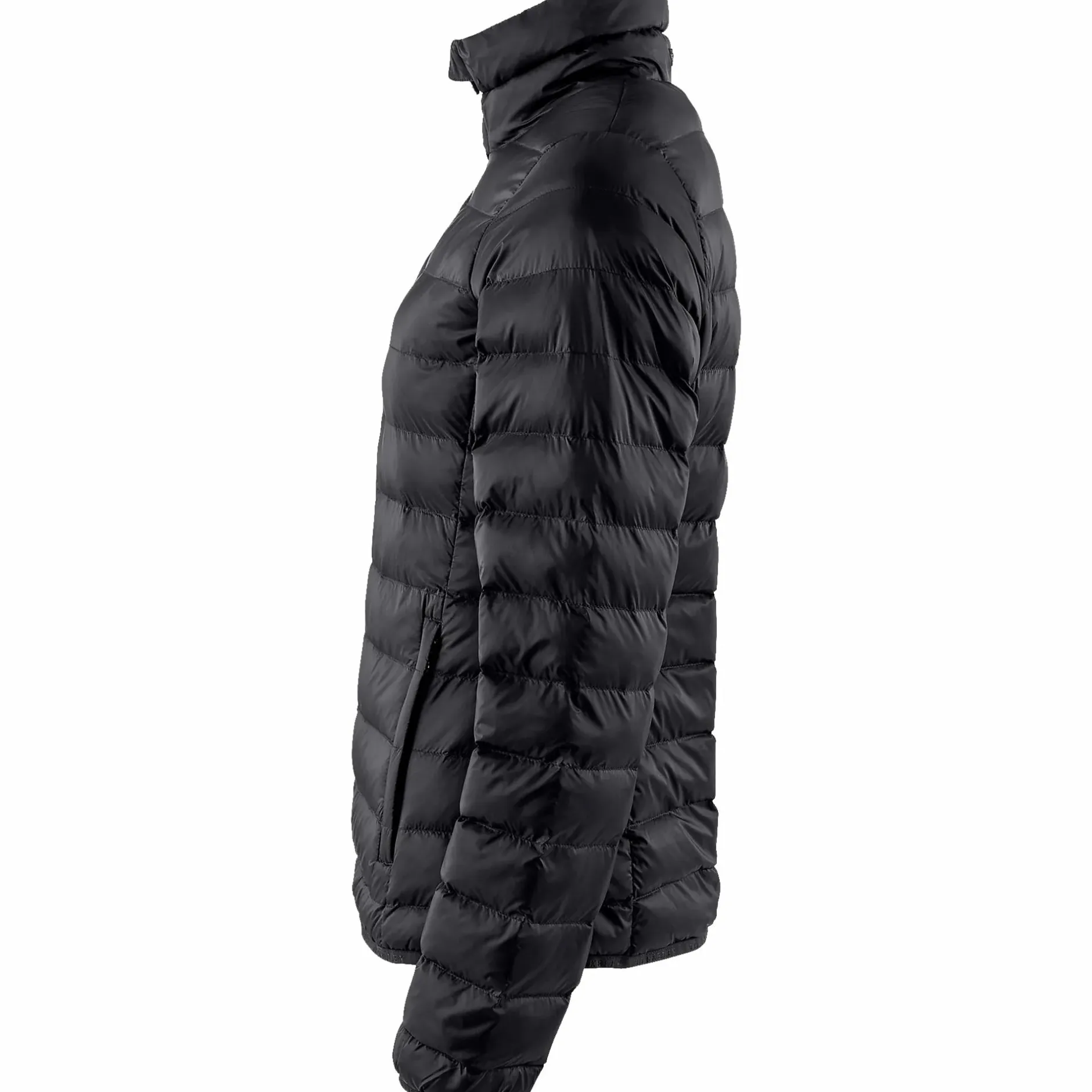 BERKELEY alford lw jacket w Black