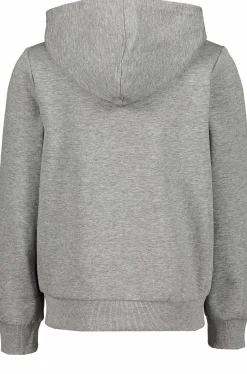 Outlet TAKEOFF basic zip hood jr Grey Melange