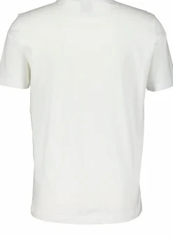 CHAMPION crewneck t-shirt m White