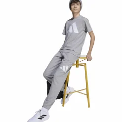 Clearance ADIDAS j bl ft pt 280 MGREYH/WHITE