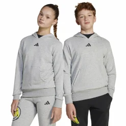 Hot ADIDAS j smi hoodie Mgreyh/Byello