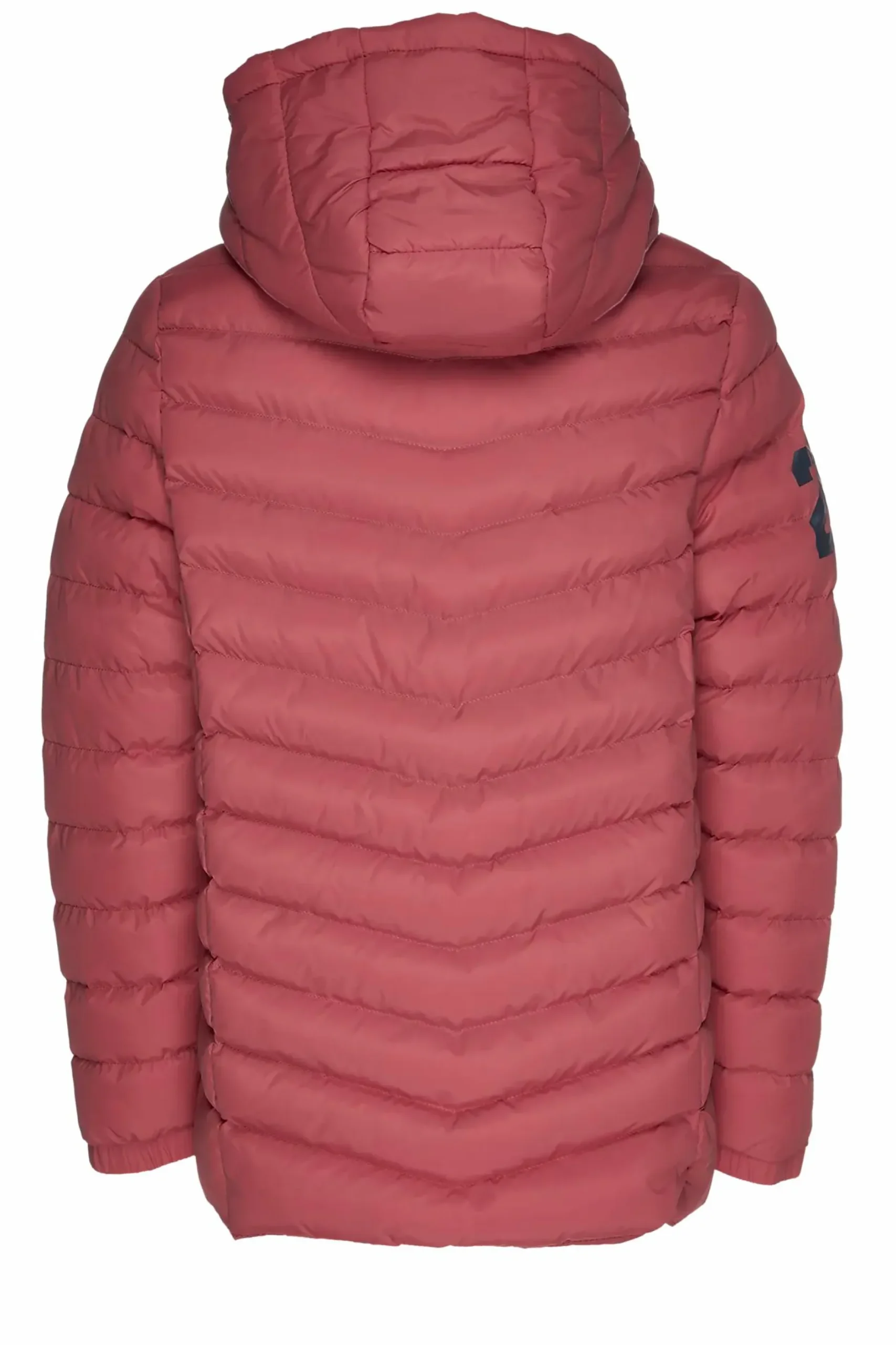Clearance VINSON jimmy padded jacket jr Baked Apple