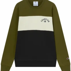 Clearance CHAMPION sweatshirt icons crewneck m Green