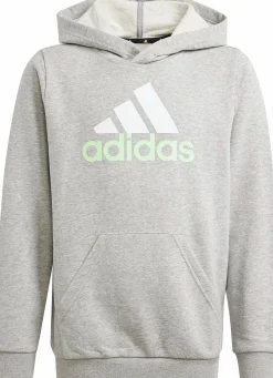 Outlet ADIDAS u bl 2 hoodie Mgreyh/White/Segr